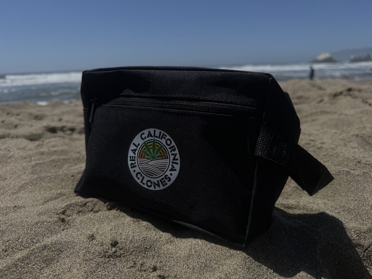 A black Real California Clones zip pouch with the roundel, photographed on the sand at Ocean Beach.